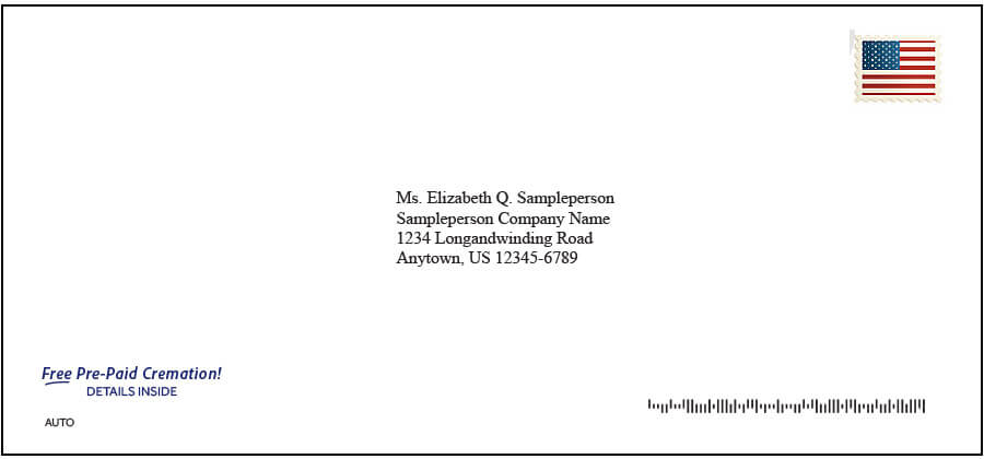 The Importance of a Captivating Teaser